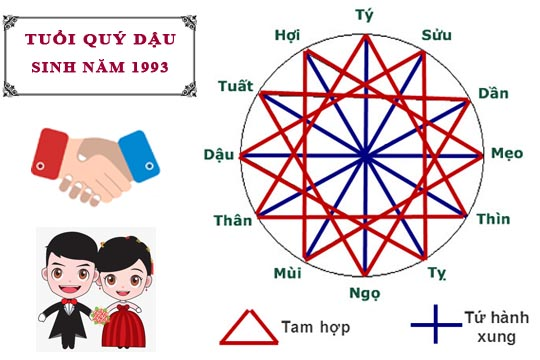 Nam mạng 1993 hợp tuổi nào?